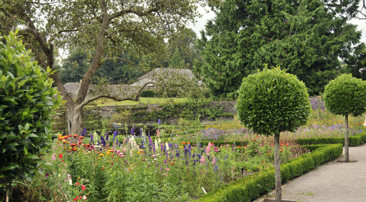 Flowers to delight - and available for cutting throughout the summer