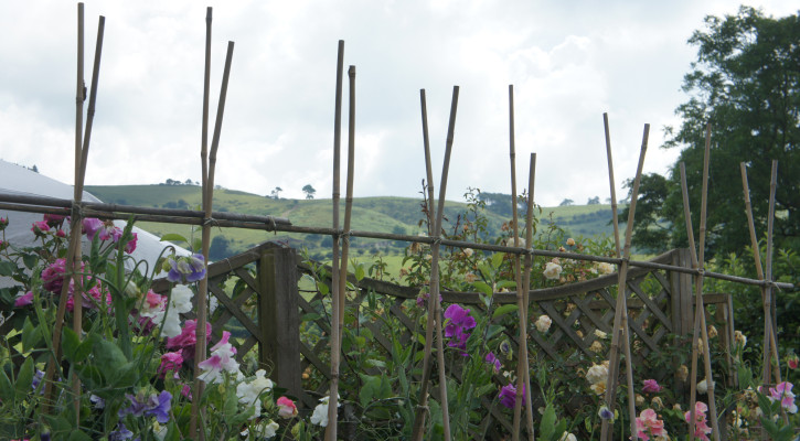 winding paths and secret corners adorn this lovely find in south Shropshire