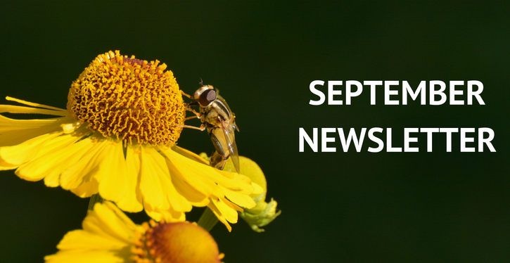 Dobies September Newsletter