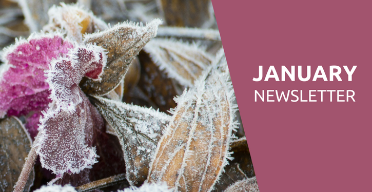 january newsletter
