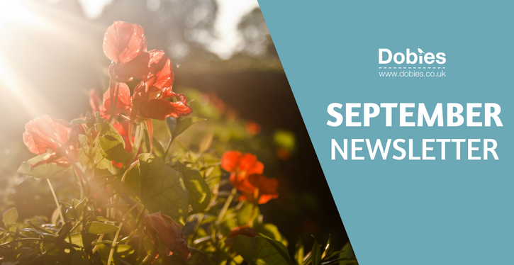 September Newsletter