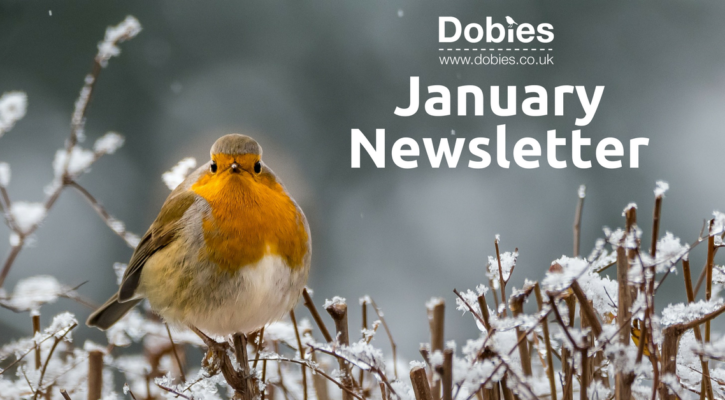 january newsletter