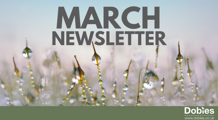 March Newsletter