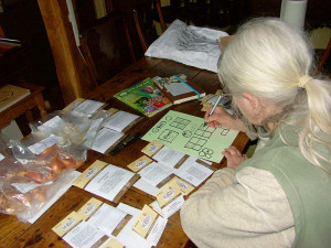 cataloguing and planning