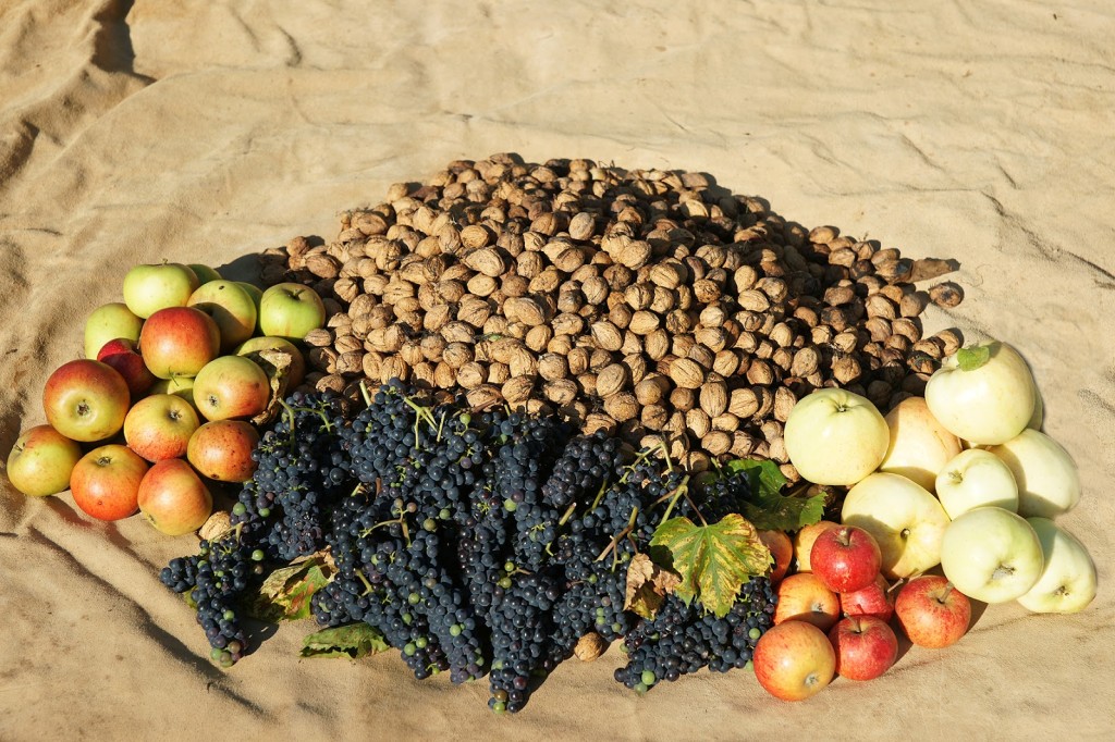Autumn fruit and nut harvest (September 2011)