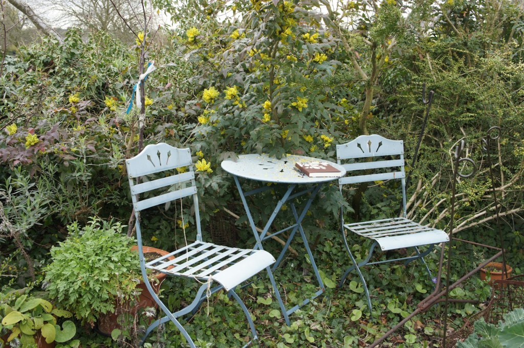 outdoor garden chairs secluded spot