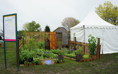 school garden with seeds provided by Dobies