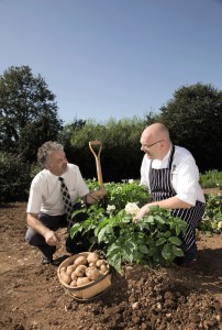 Simon Hulstone harvesting potatoes with Dobies' vegetable specialist, Peter Morton.