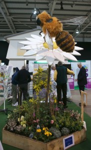 The BBKA bee-friendly garden