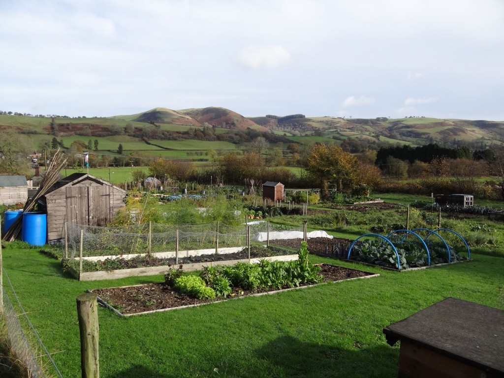 Stunning location for an allotment - Knucklas, Powys