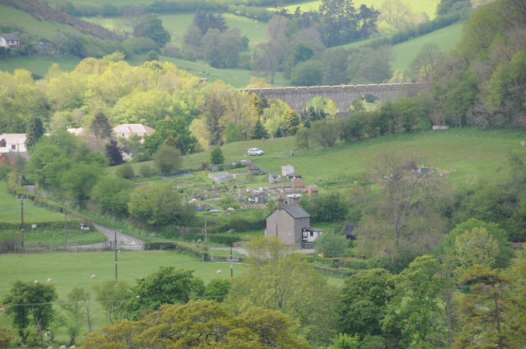 Allotment in centre of image, taken from two miles away across the valley