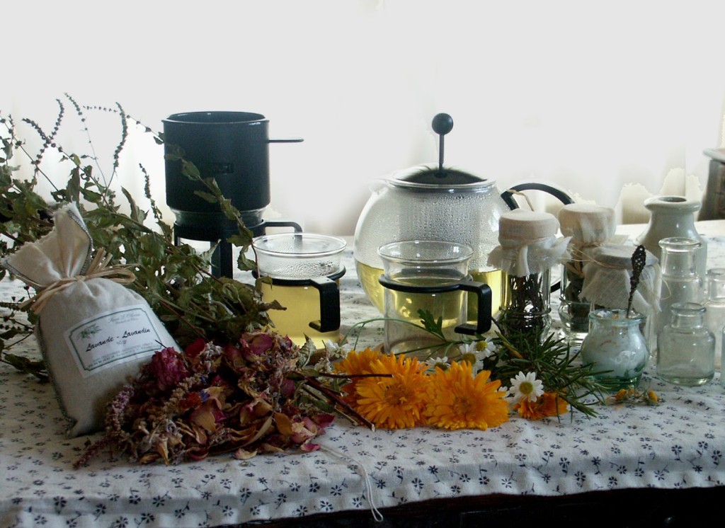 Jars and pots awaiting preserved herbs and edible flowers - with a pot of freshly-made herbal tea in the background
