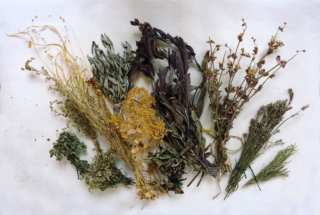 Dried herbs - but don't be tempted to keep them too long