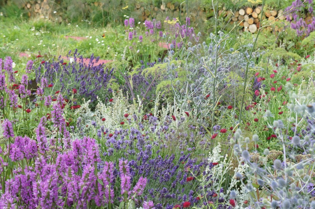This garden was literally buzzing