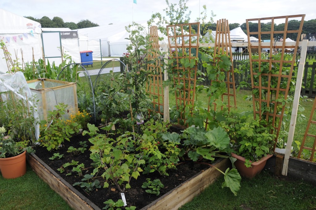 Inspiring displays to encourage new gardeners were in evidence up north