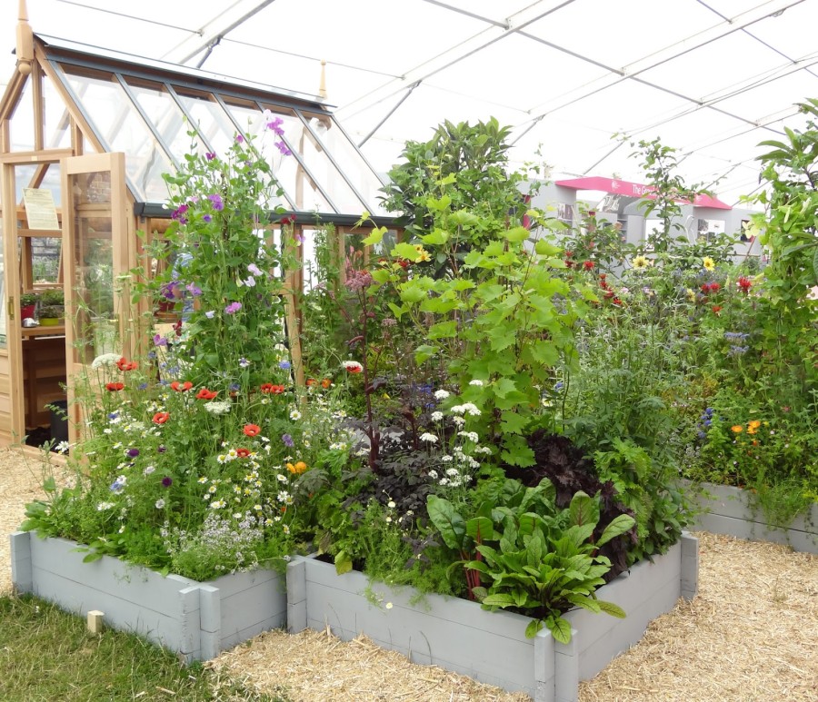 RHS Shows designed to inspire Dobies Blog