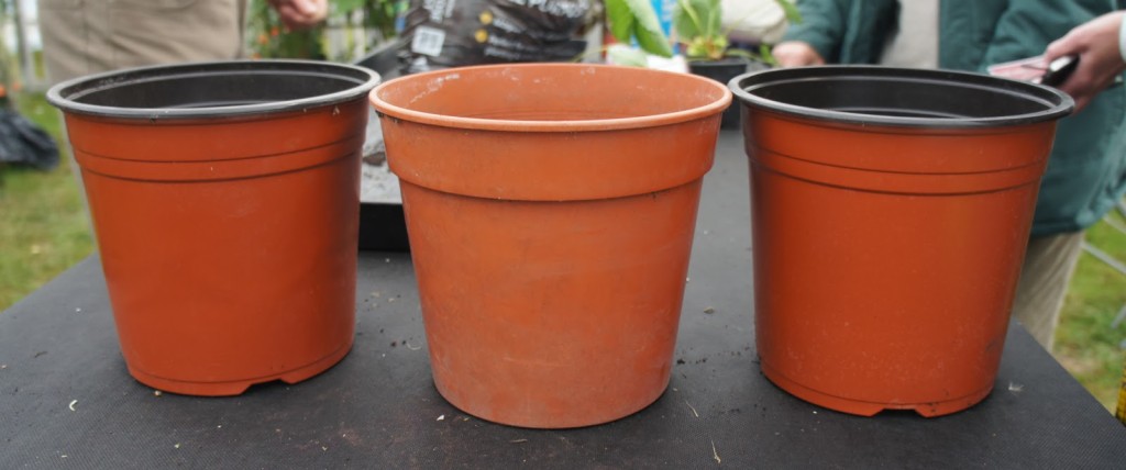 Grow veg in 8 or 10 inch pots - use good quality compost;  water regularly and feed well