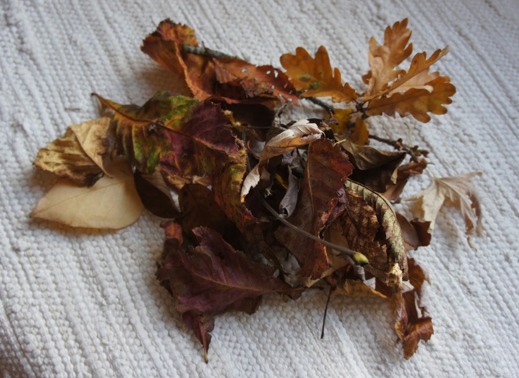 Fallen leaves have their uses in more ways than one.