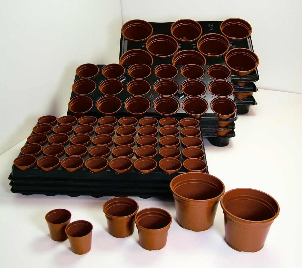 Three pot sizes will cover most potting-on needs.