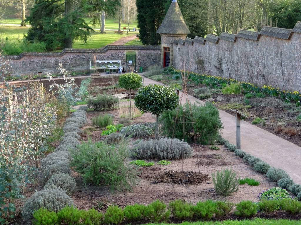 herb borders at Knightshayes Court