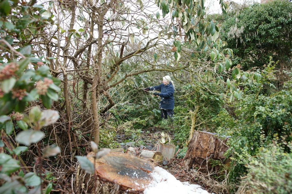 the wilderness the potager was created from