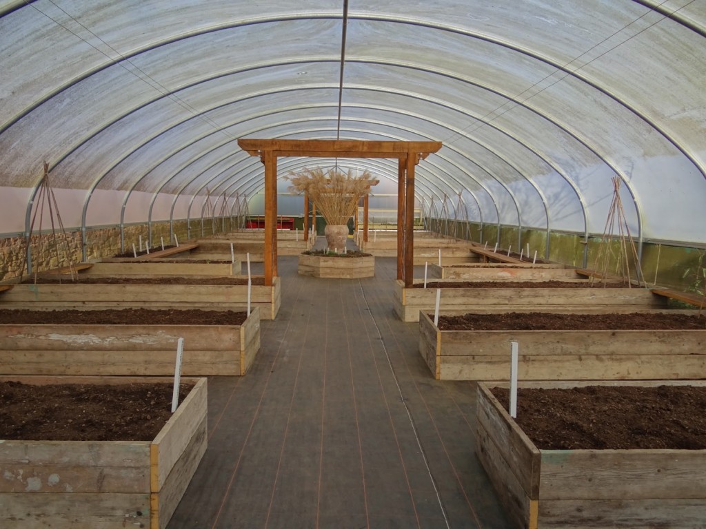 Knighthayes with new 'Outside In' polytunnel plantings.