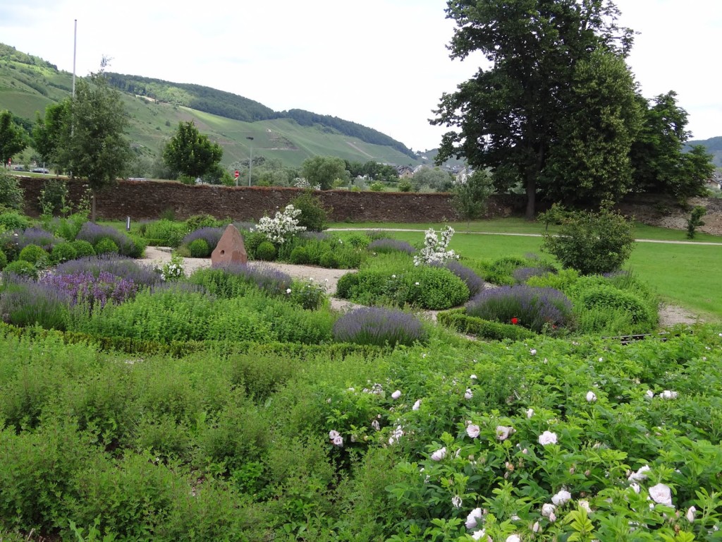 A beautiful garden of herbs and roses in Germany, taken in the summer of 2012 along the banks of the Mosel river