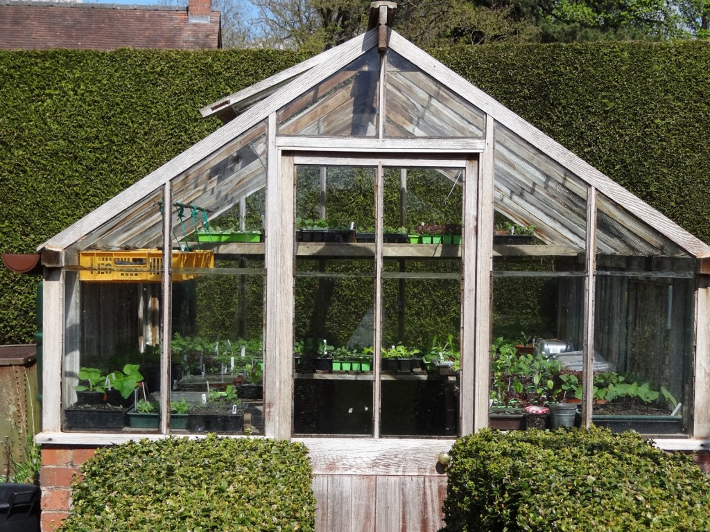 A well-stocked greenhouse at Berrington Hall, Herefordshire