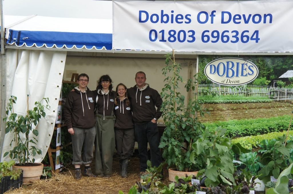 The Dobies Team