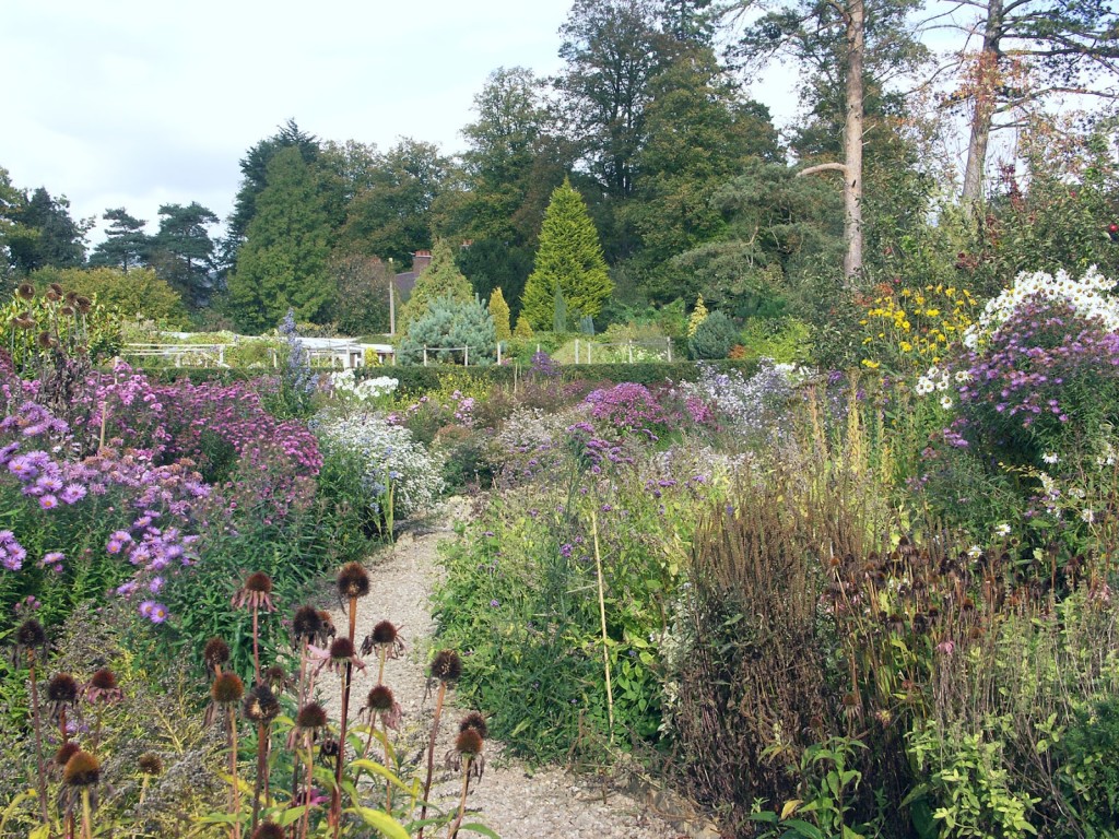 Seedheads and Autumn colour on a sunny day in early September