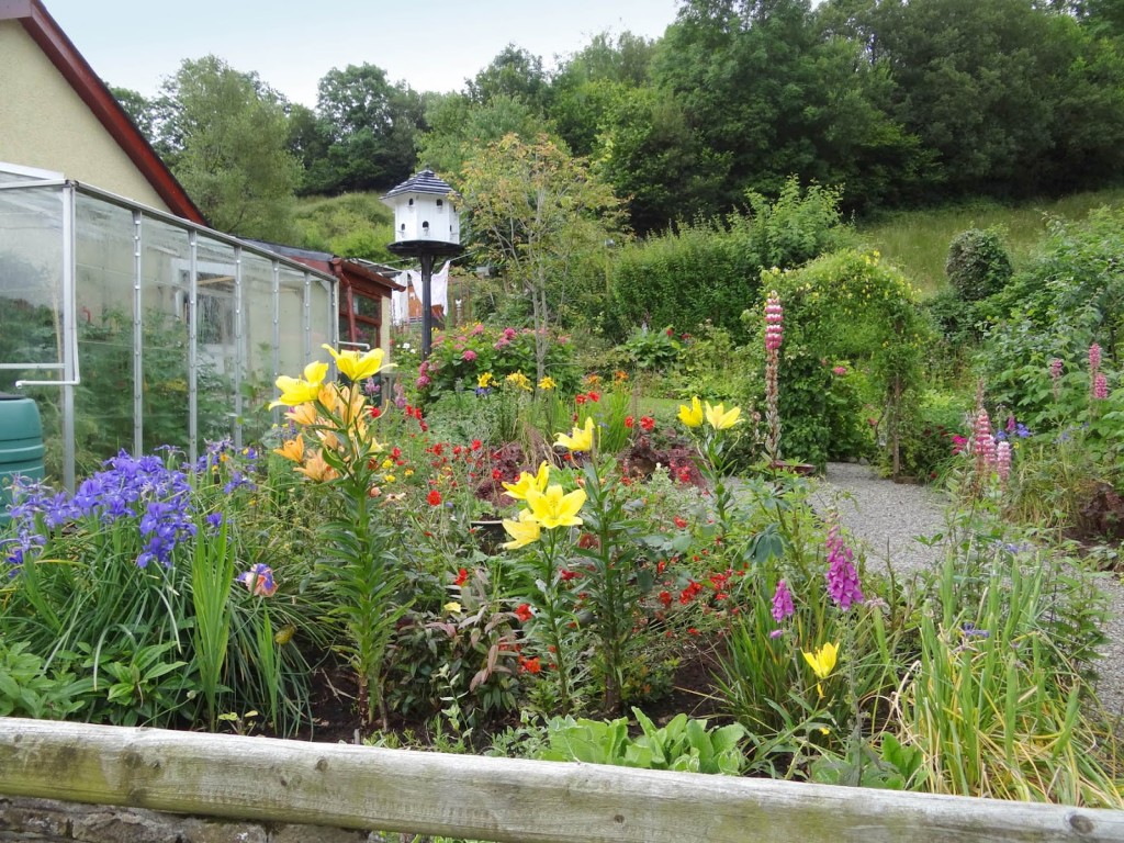 A cottage flower garden,near Blaney, Co.Fermanagh