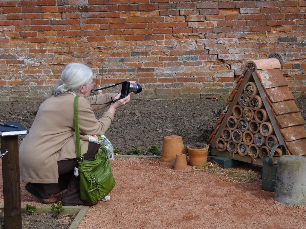 Record what you see and what inspires you; this is in the kitchen garden at Packwood House, Warwickshire