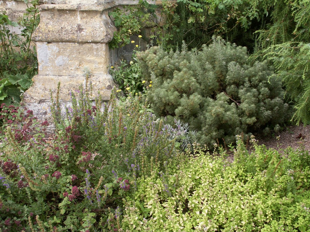 Tewkesbury Abbey gardens
