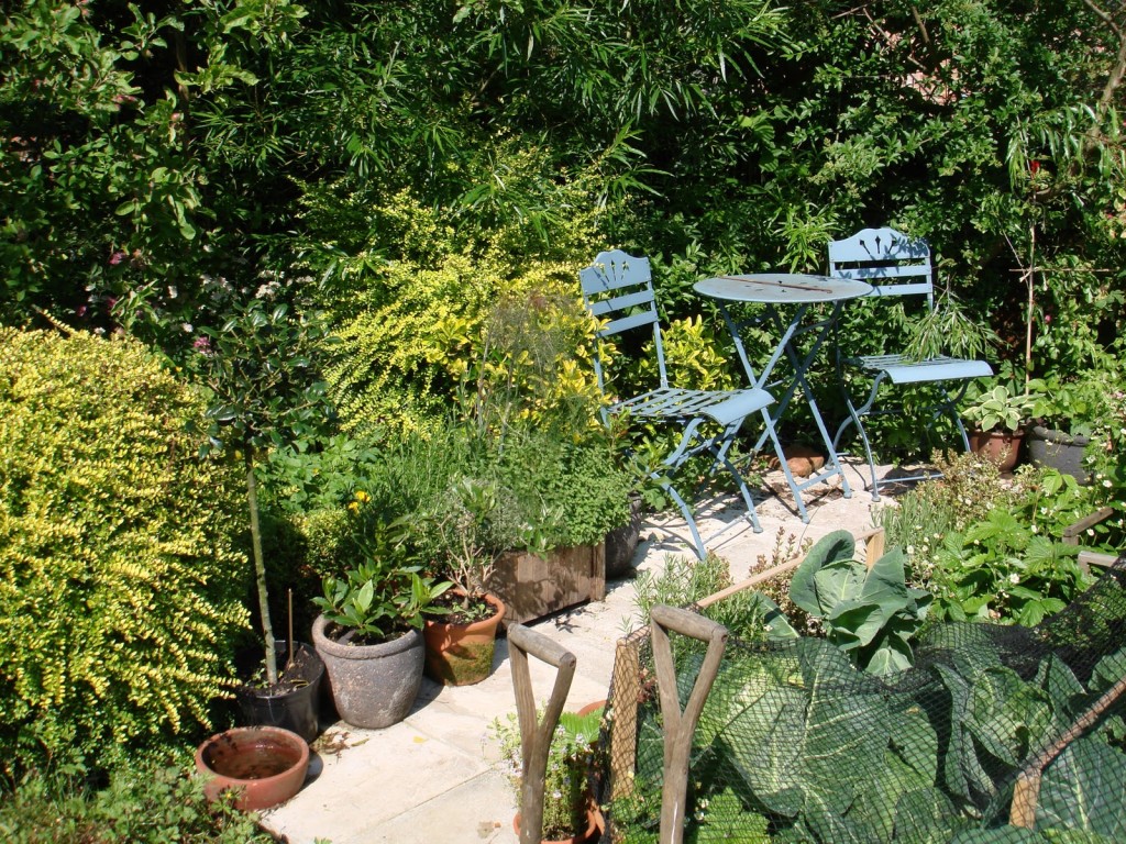 potager backed by a hedge of roses