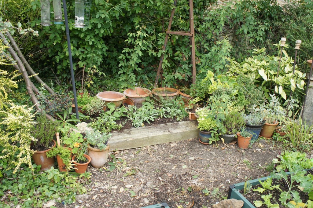 extension to the potager