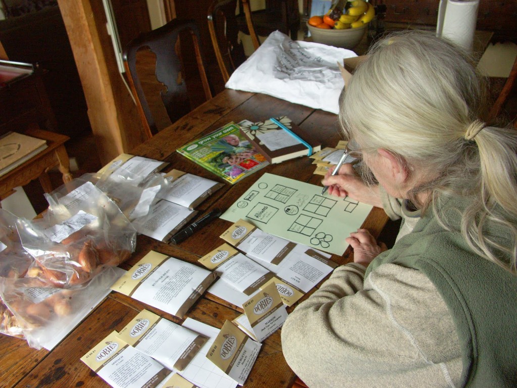 listing seeds and planning what will fit where