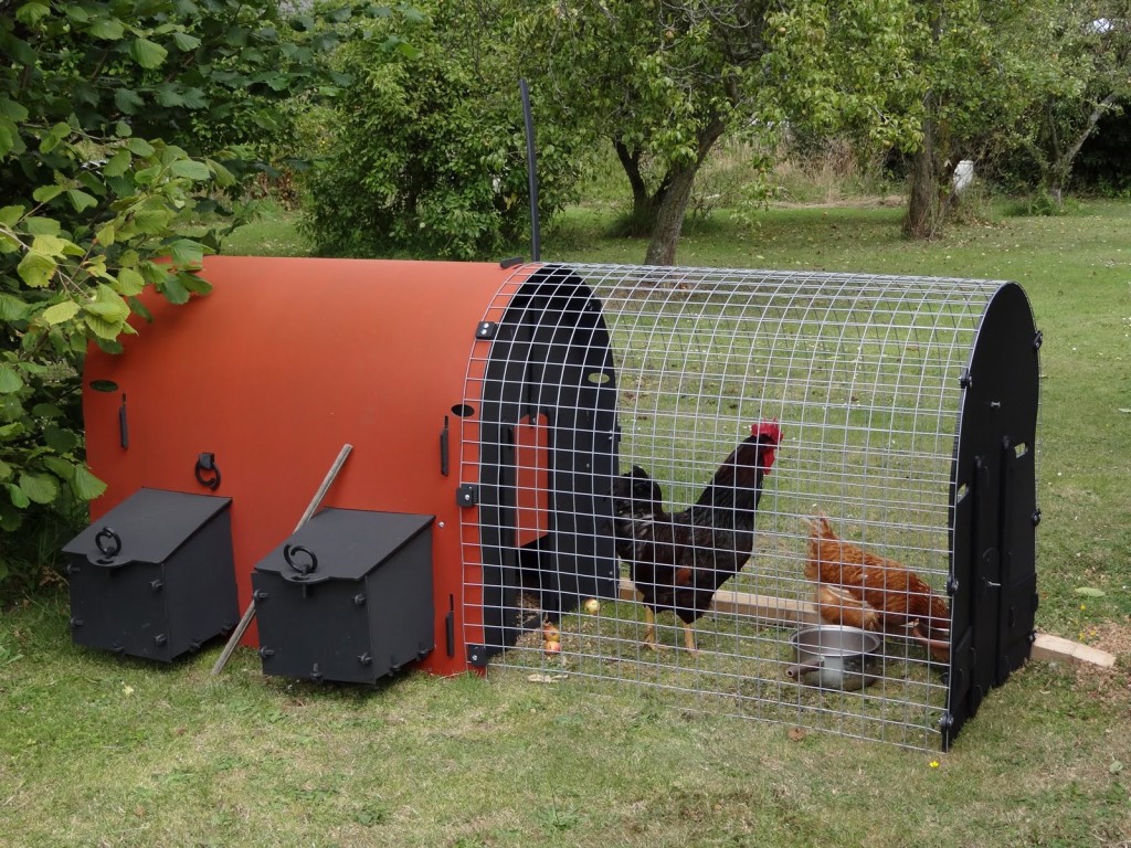 chicken and hen coop