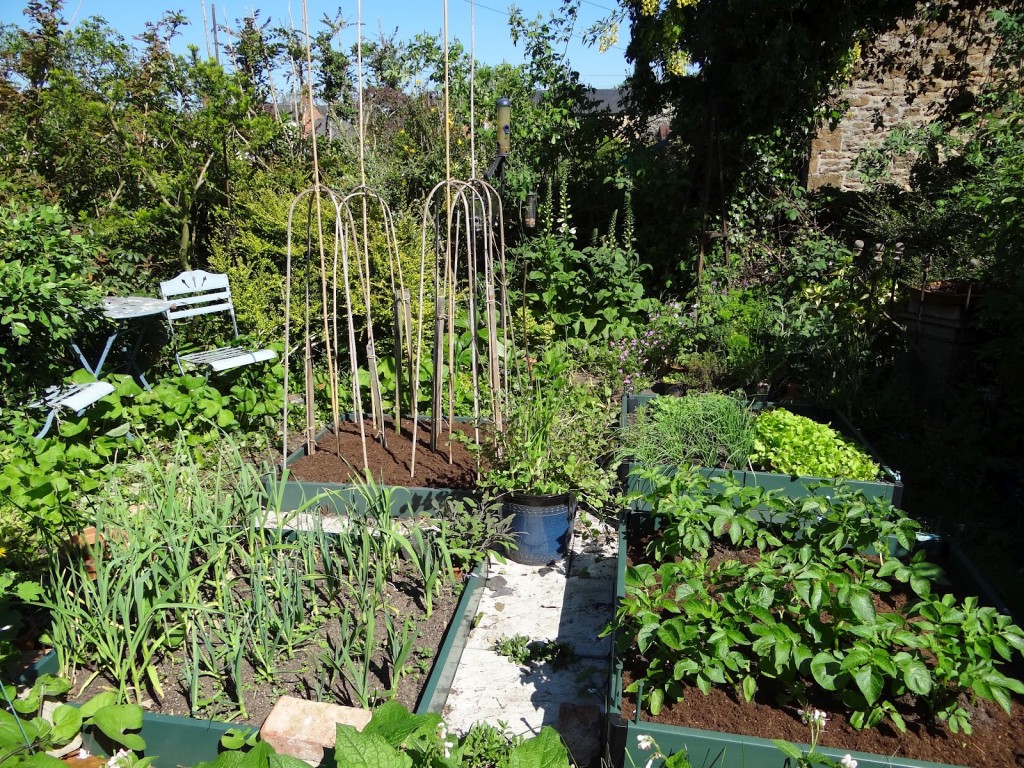 four productive beds with their surrounding sheltering