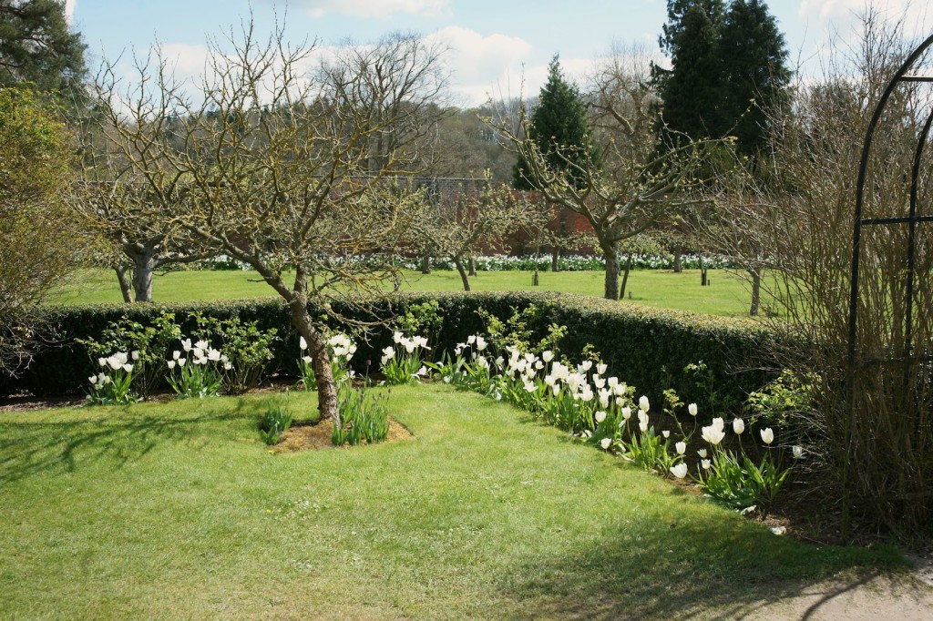 Berrington Hall pruned the apple trees
