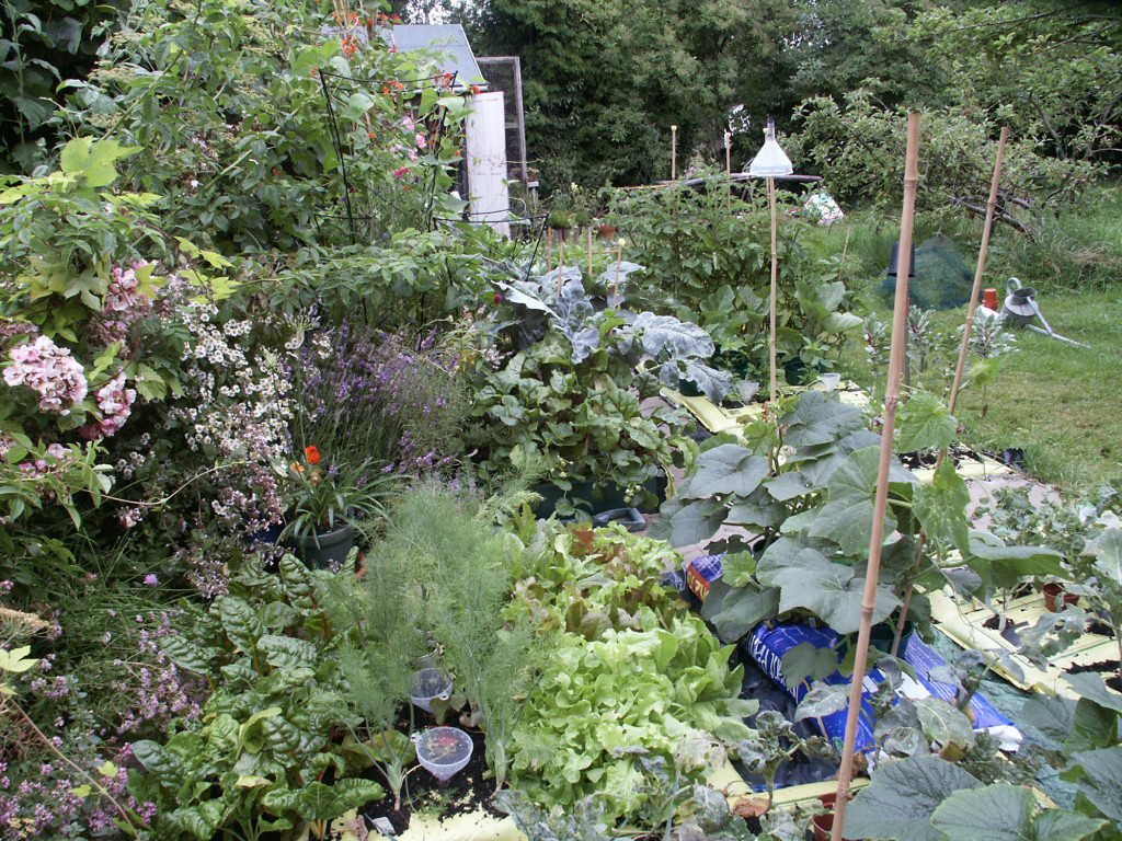 Garden upwards - above ground and crops soon flourish