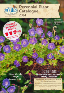 Mixed Perennial Planting 'par excellance' - order, then keep your copy as a reference guide