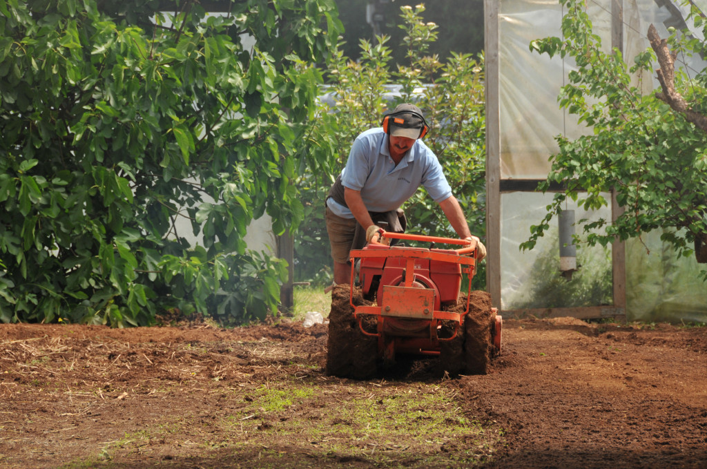 Preparing the soil is essential prior to planting perennials