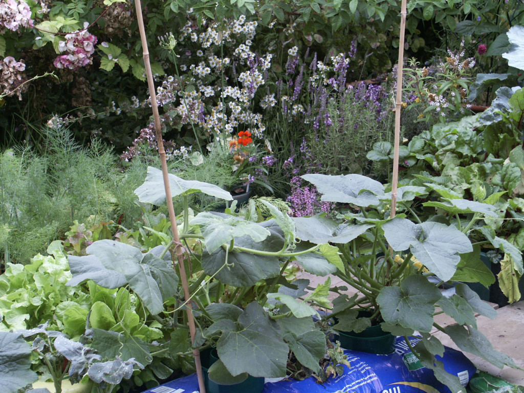 When short of space, utilise grow bags for edible produce.