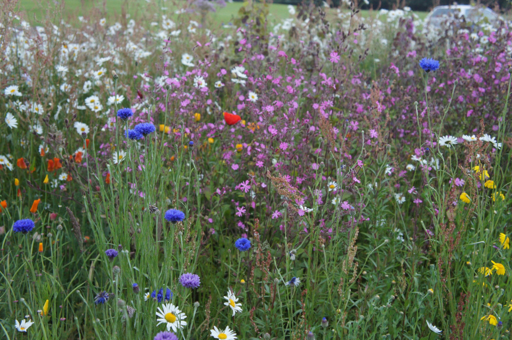 Eco flower bed at the school entrance