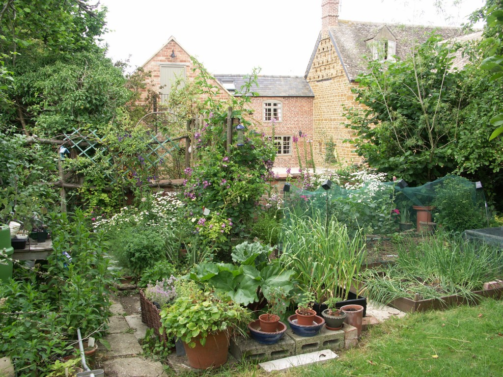 My eco-plot in its hey-day: a mixture of vegetables, fruit, herbs and flowers; all designed to be beneficial to us as a family, and to wild-life.