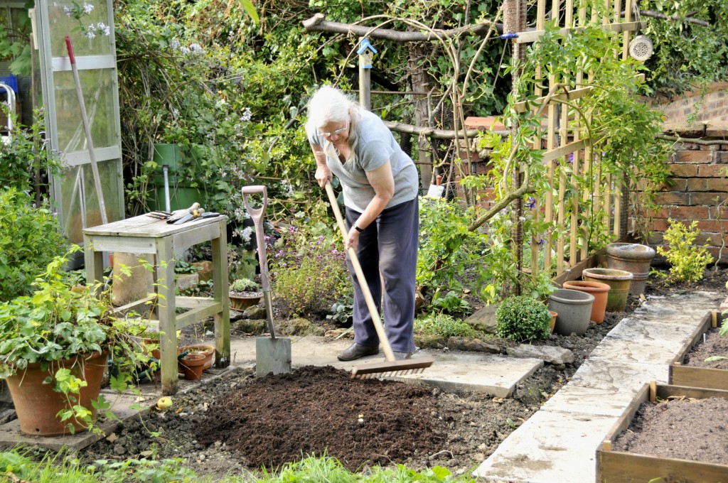 In the years between 1969 and now, each area of the garden has been re-mastered more than once - mostly to reflect magazine features I was engaged to write