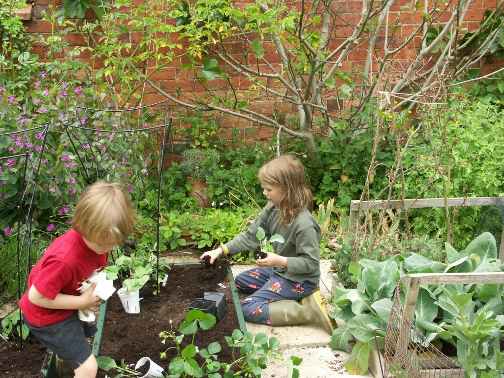 Starting children young instils into them a love of gardening