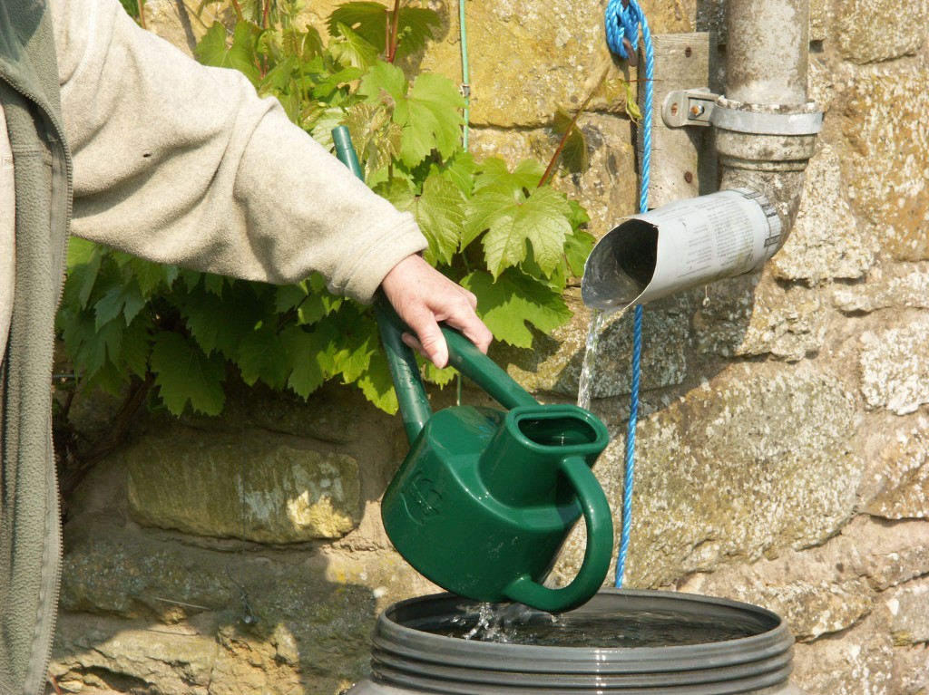 We only ever use rainwater collected via drainpipes and stored in barrels (or grey water in very dry periods)