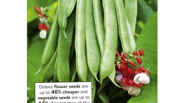 Dobies Seed Catalogue