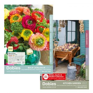 august catalogues
